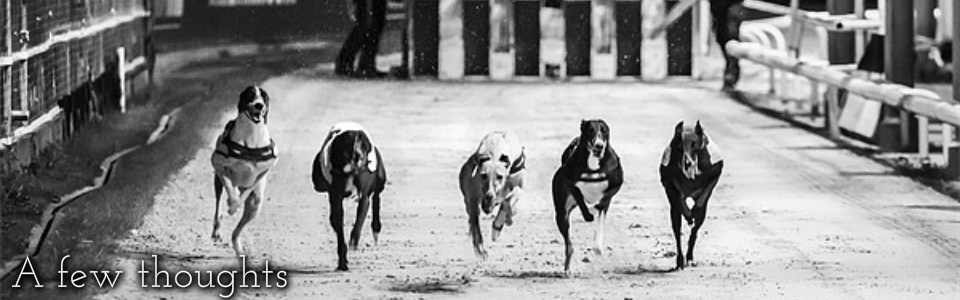 category one greyhound races
